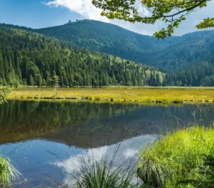 Mehr über den Artikel erfahren Besondere Momente feiern im Wellness und Wohlfühlhotel Waldeck in Bodenmais